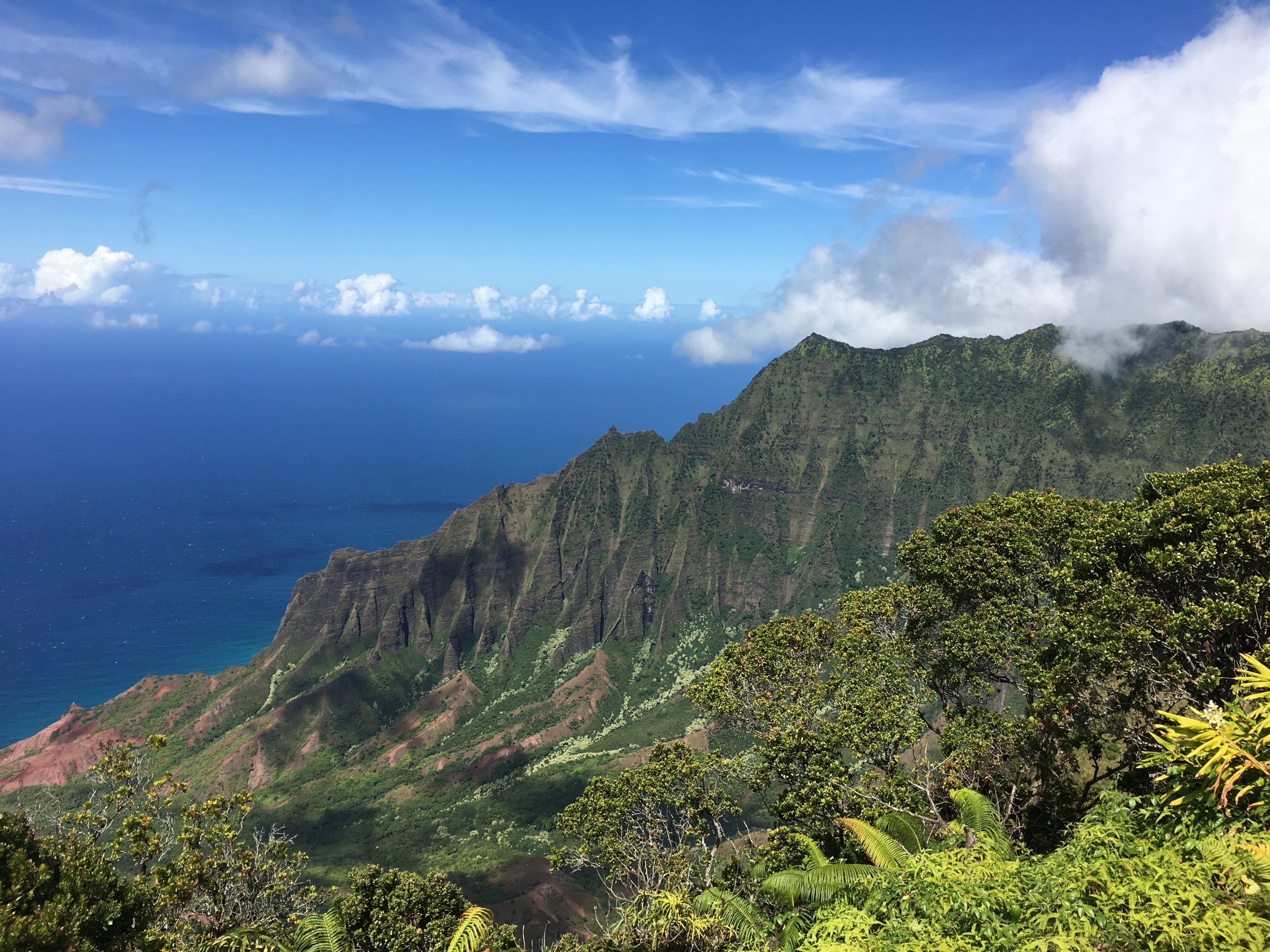 Read more about the article The Island Imprint: Why I Started Bali Hai Travel Blog